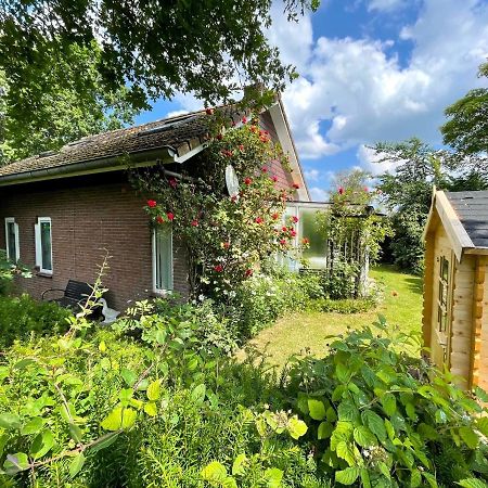 Rustig gelegen vakantiebungalow Kortgene Bagian luar foto